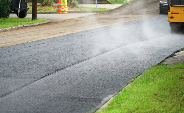 Best Decorative Driveway Pavers  in Panacea, FL